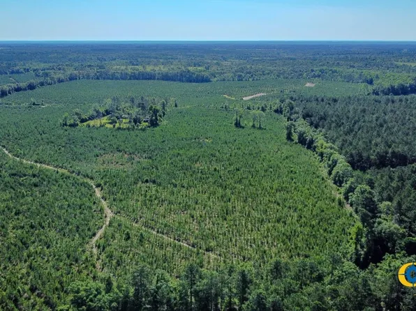 Marvis Chapman Rd, Ideal, GA 31041