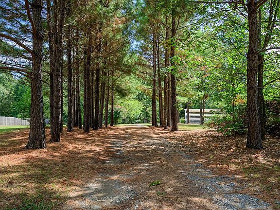 3rd image of 156 River Ln