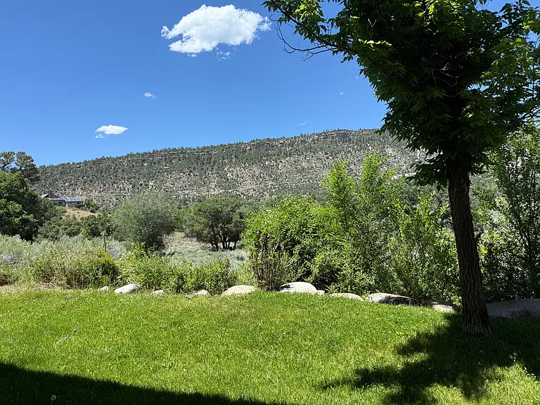 35 Sunshine Ct #2 — Photo 4
