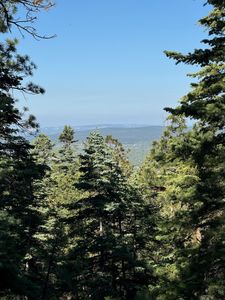 Private Drive 1781, Chama, NM, 87520