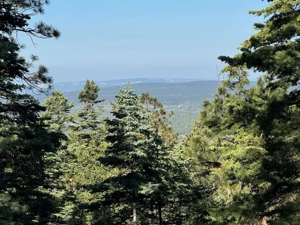 Private Drive 1781, Chama, NM 87520