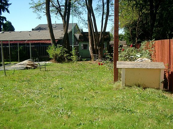 Backyard and Playhouse
