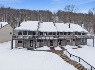 10 Valley Village Rd, Ellicottville, NY 14731