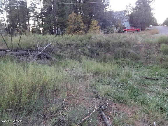3rd image of 1601 N 36th Dr