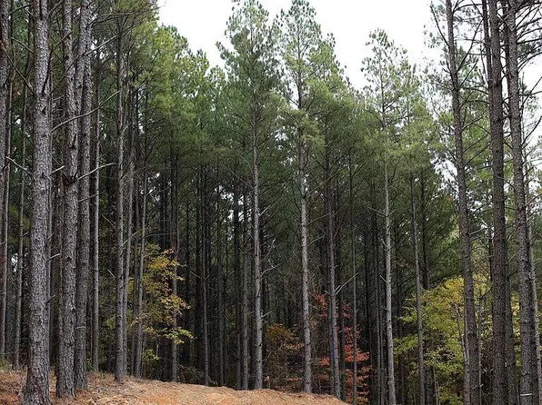 Pine Ridge Trl Lot 2, Broken Bow, OK 74728