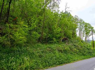 127 Beech Branch Rd, Gatlinburg, TN 37738