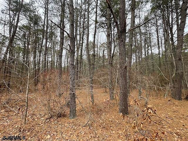 2nd image of Perry St