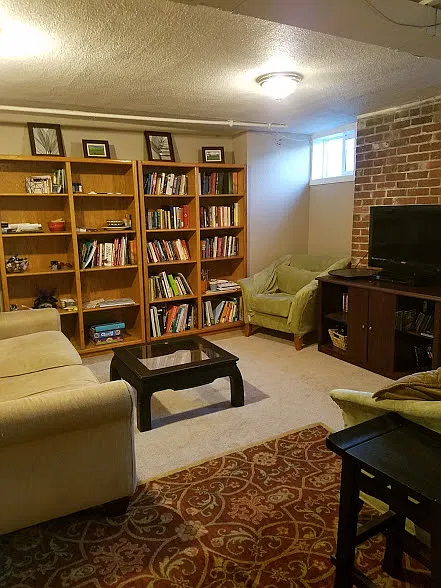 Downstairs Living Room