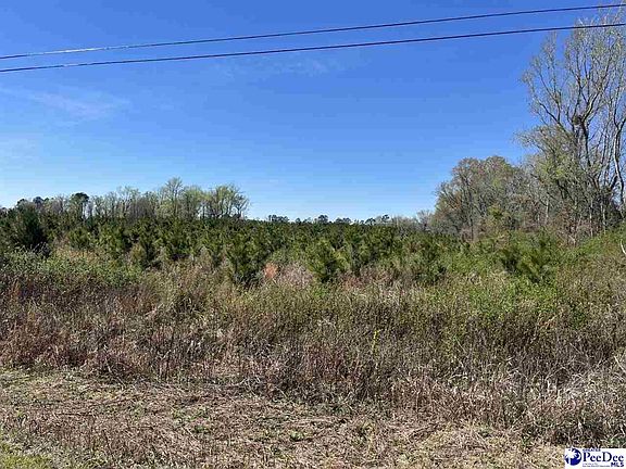 2nd image of Attadale Rd