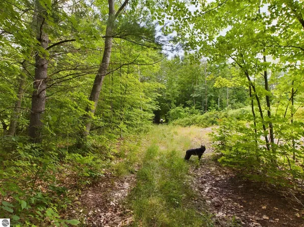 0 Reynolds Rd, Interlochen, MI 49643