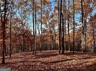 963 Meeting Ct, Ranger, GA 30734