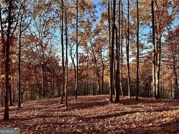 963 Meeting Ct, Ranger, GA 30734