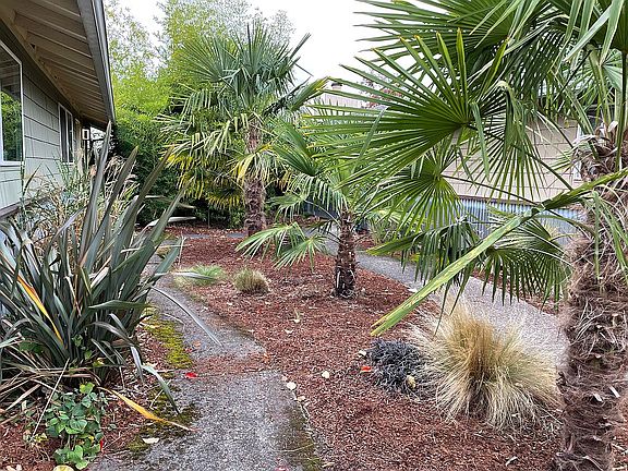Tropical Landscaping 