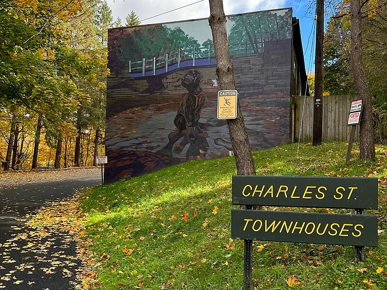 7 Charles St — Photo 1