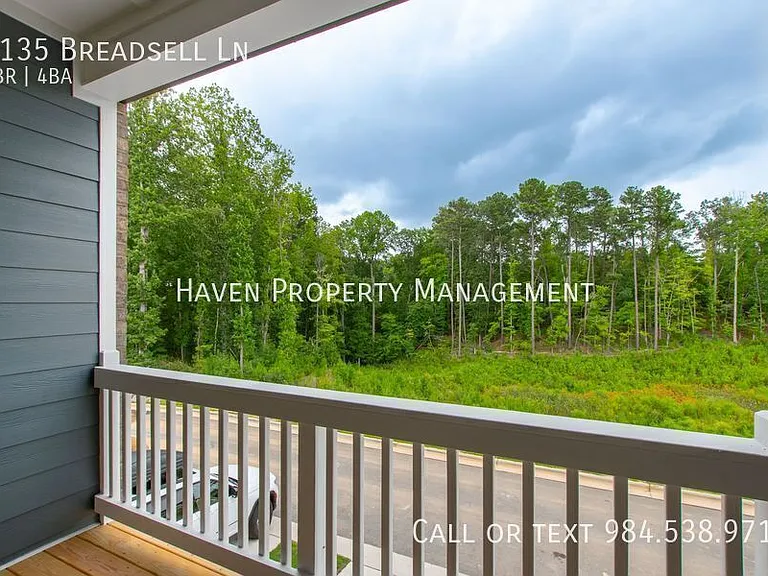 1135 Breadsell Ln — Photo 29