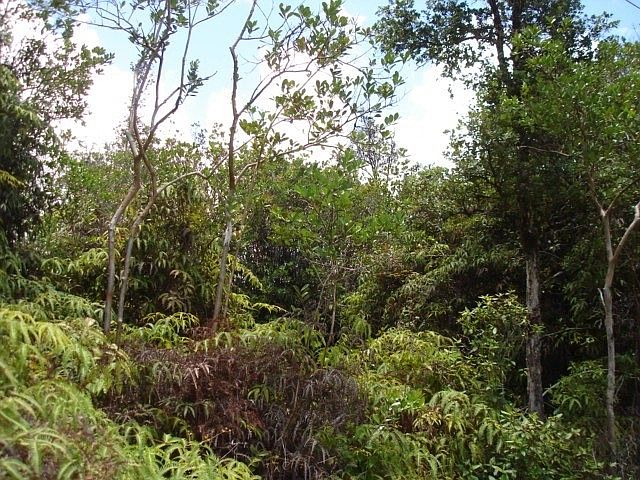 2nd image of Road 6 Ooaa Lot 4417