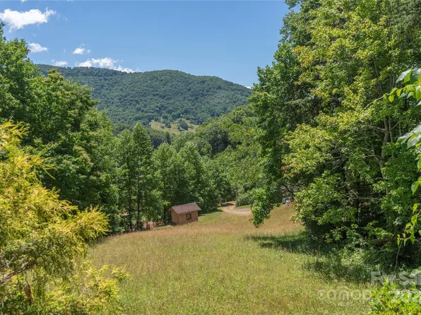 99999 Sandy River Rd, Leicester, NC 28748