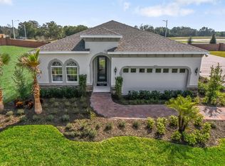 11102 Spring Point Cir, Riverview, FL 33579