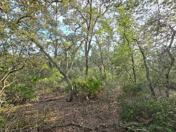FISHER WAY LOT 13, OCKLAWAHA, FL 32179