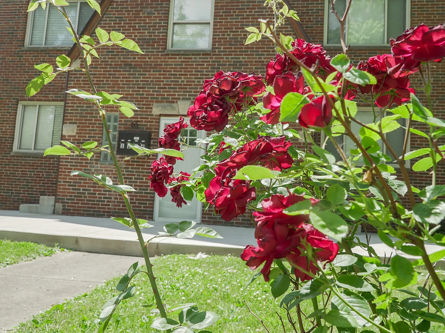 65 N Brinker Apt 2 - 2 — Photo 1