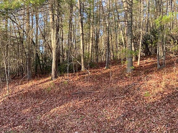 3rd image of Rhea Ln