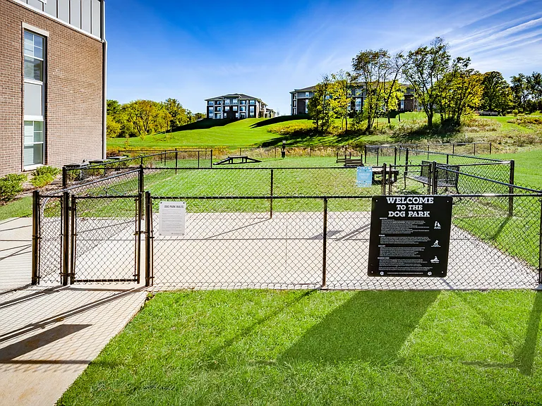 Dog Park