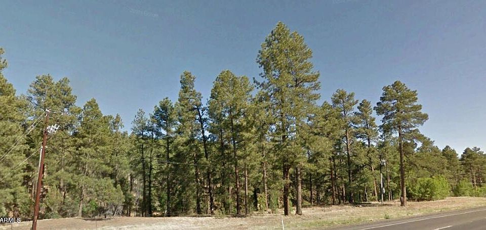 2nd image of 2351 S White Mountain Road #-