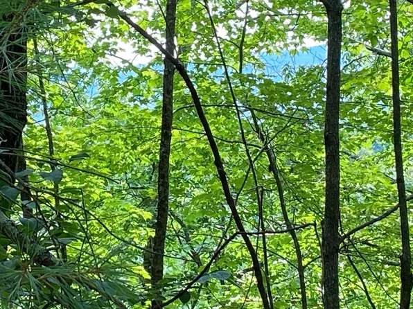 LOT 645 Wedowee Ct Lot 645, Ellijay, GA 30540