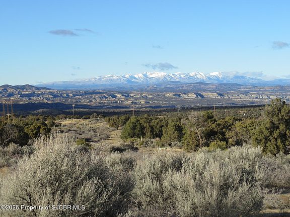 2nd image of 41 Road 2553