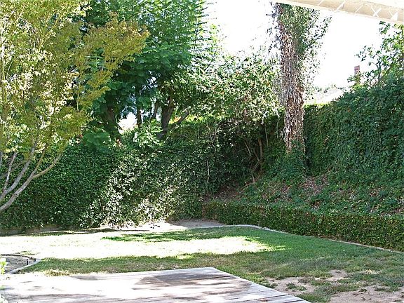 Private, Secluded Backyard