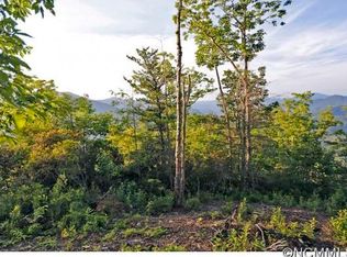 48 Amaskagahi Trl, Maggie Valley, NC 28751