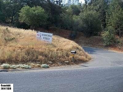 3rd image of 13755 Terrace Dr