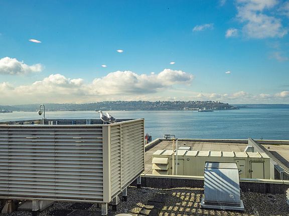 Puget Sound View