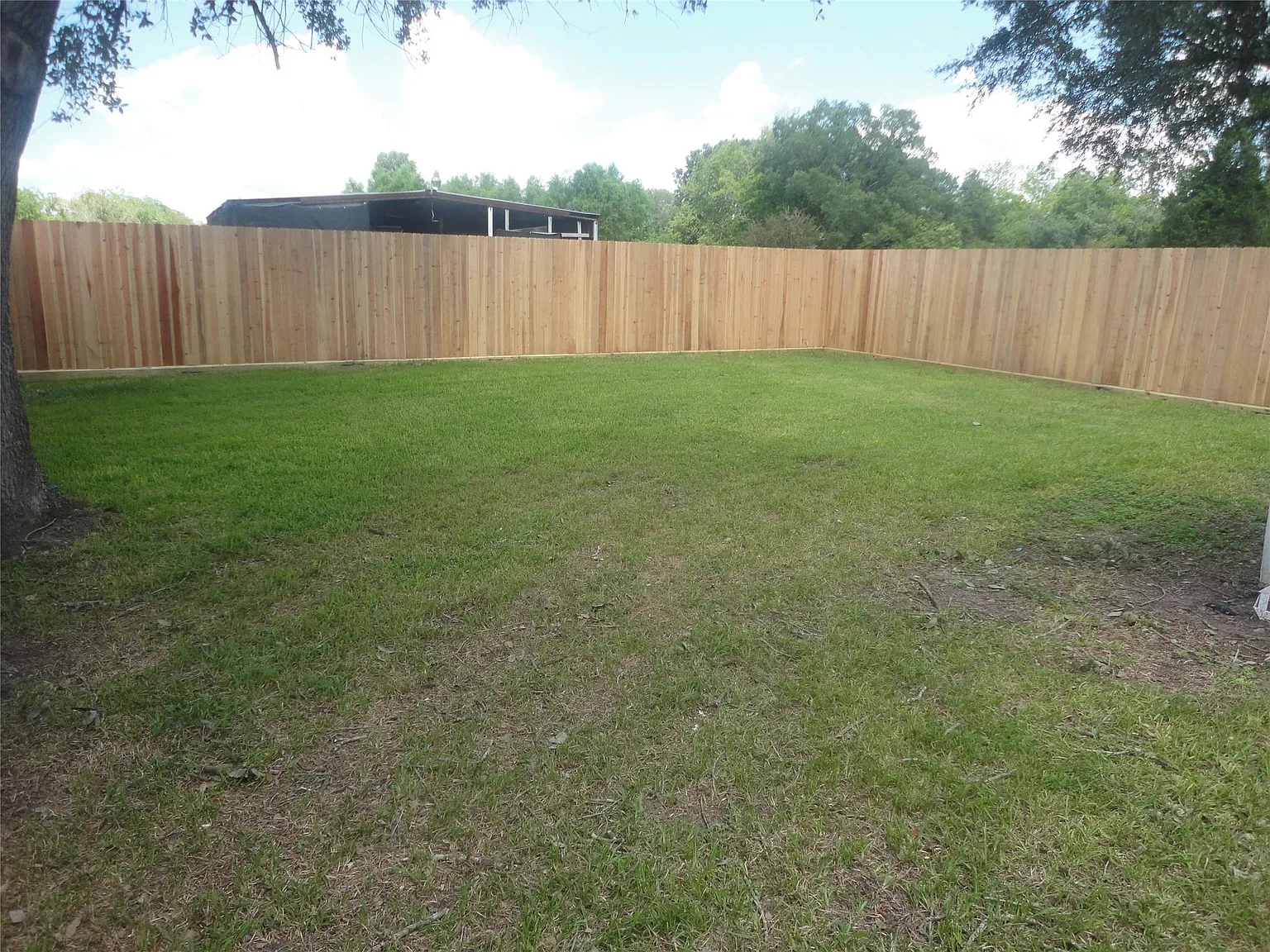 3 bed, 984 sqft, $2,250 — Photo 4