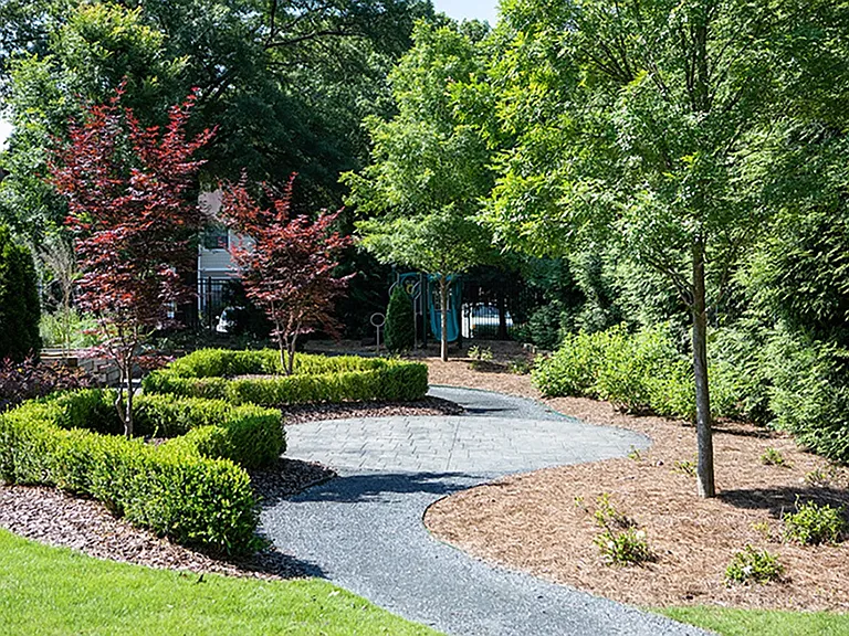 Forest Ridge at Terrell Mill — Photo 16