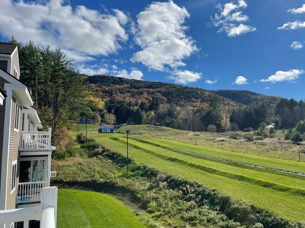 295 Hotel Rd #18, Brownsville, VT 05037