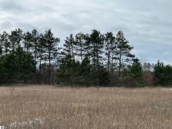 LOT Red Cardinal Ln #C, Grawn, MI 49637