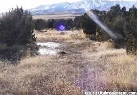 4th image of 712 S Elk Horn Dr