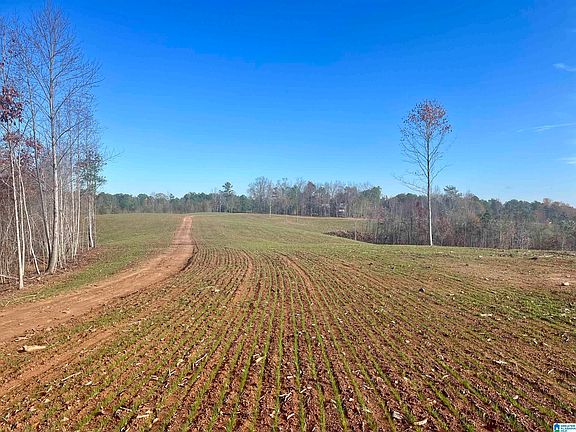 2nd image of 0 County Road 26