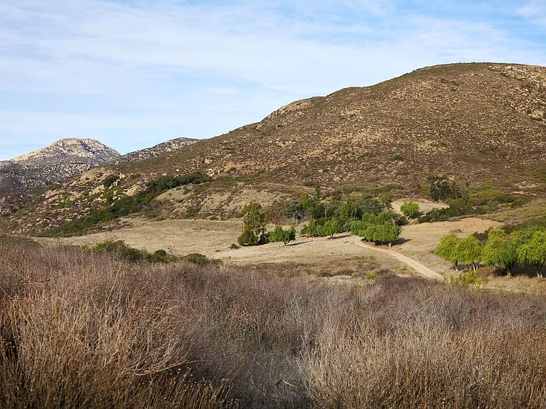 17302 Highway 94 — Photo 23