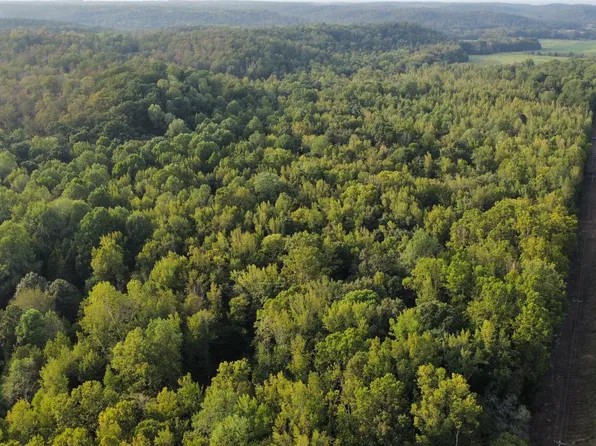 0 Birdsong Rd, Holladay, TN 38341