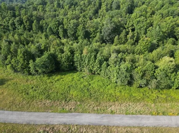 8 River Ridge Ln, Mount Nebo, WV 26679