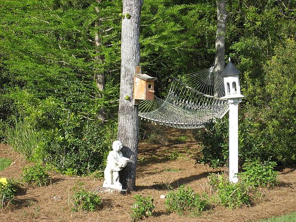 Hammokk area in the backyard