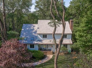 9 Deer Hill Rd, Asbury, NJ 08802