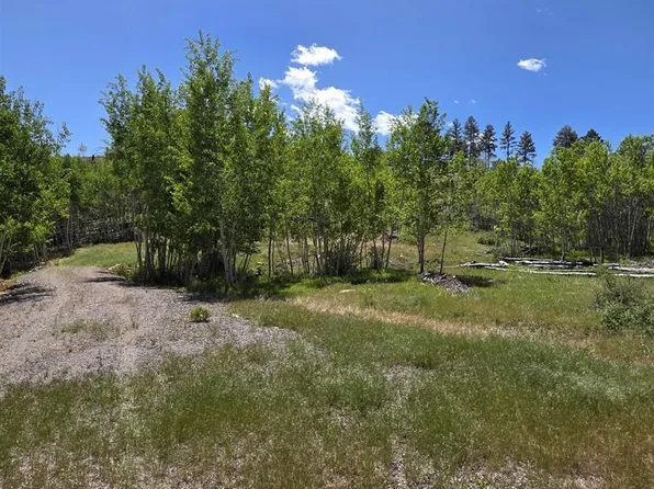 302 Rickel Circle, South Fork, CO 81154