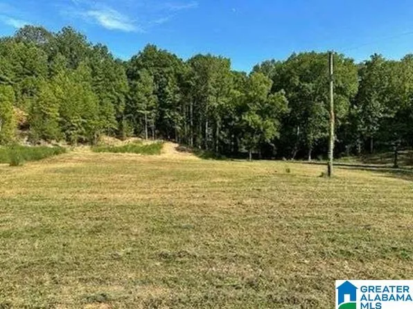2454 Spring Creek Rd #2, Montevallo, AL 35115