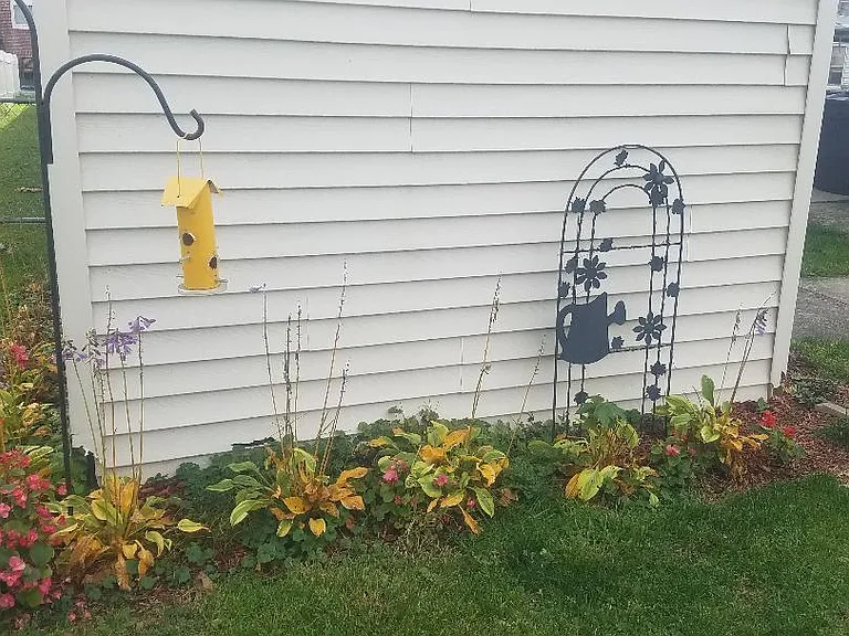 Shed landscaping