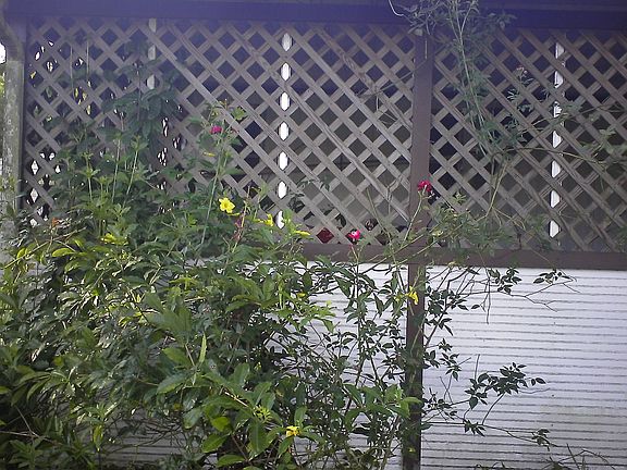 2nd image of 1596 SE Ohio Ave