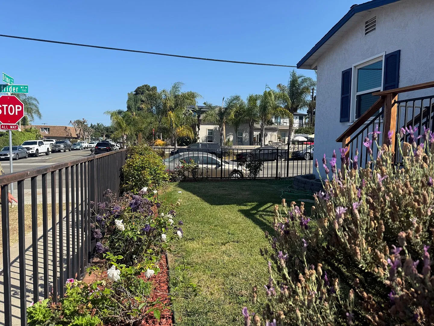 2 bed, 1.0 bath, $3,500 — Photo 2