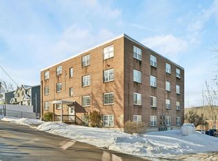 30 Beech Street #3D, Bristol, NH 03222